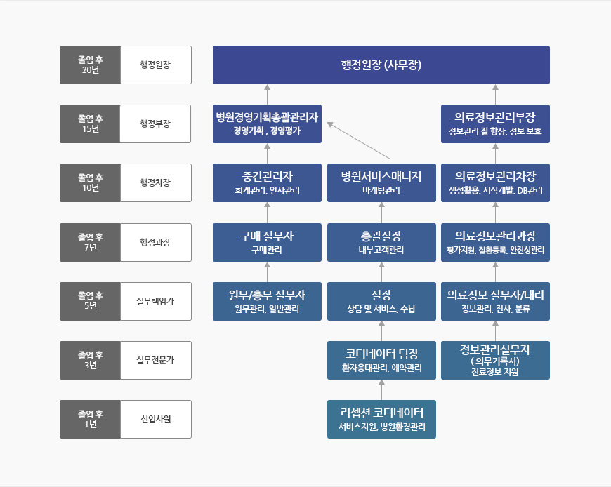 졸업 후 1년(신입사원) : 리셉션 코디네이터-서비스지원,병원환경관리
						졸업 후 3년(실무전문가) : 코디네이터 팀장-환자응대관리,예약관리 / 정보관리 실무자(의무기록사)-진료정보 지원
						졸업 후 5년(실무책임가) : 원무/총무 실무자-원무관리,일반관리 / 실장-상담 및 서비스,수납 / 의료정보 실무자/대리-정보관리,전사,분류
						졸업 후 7년(행정과장) : 구매실무자-구매관리 / 총괄실장-내부고객관리 / 의료정보관리과장-평가지원,질환등록,완전성관리
						졸업 후 10년(행정차장) : 중간관리자-화계관리,인사관리 / 병원서비스매니저-마케팅관리 / 의료정보관리차장-생성활용,서식개발,DB관리
						졸업 후 15년(행정부장) : 병원경영기획총괄관리자-경영기획,경영평가 / 의료정보관리부장-정보관리 질 향상, 정보 보호
						졸업 후 20년(행정원장) : 행정원장(사무장)